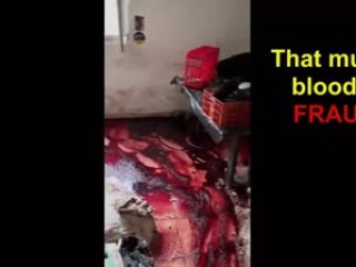 Nova Festival and Kibbutz attack fraud part 1