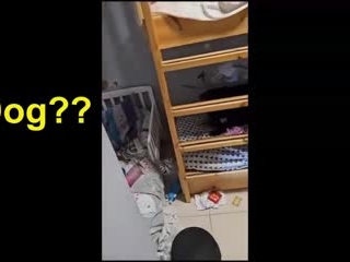 Nova Festival and Kibbutz attack fraud part 3