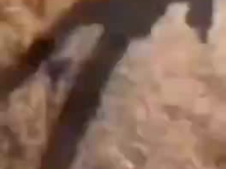 SuperNova Sukkot music festival attack footage