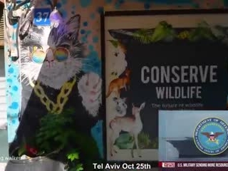 Faking Hamas attacks on Israel