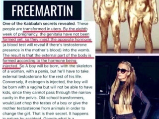 514074305_649605884799818_8682559768315130327_n