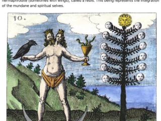 Screenshot 2025-02-08 at 5.32.50 pm