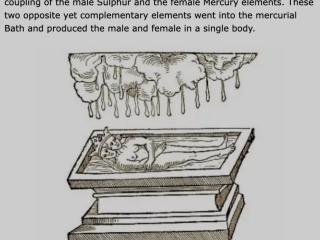 Screenshot 2025-02-08 at 6.26.23 pm