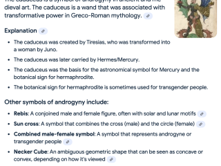 Screenshot 2025-02-08 at 9.03.04 pm