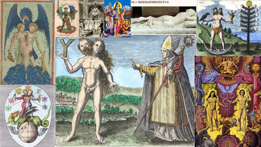 They’re hermaphrodites, not trans