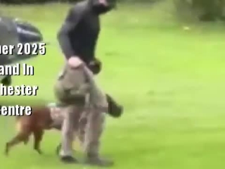 Practice run earlier in the year