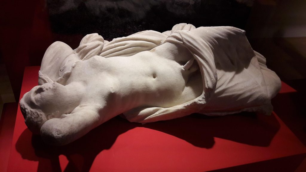 hermaphrodite-5917428_1280