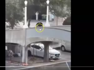 Bondi terror hoax hero