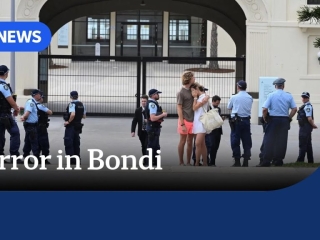 Terror in Bondi