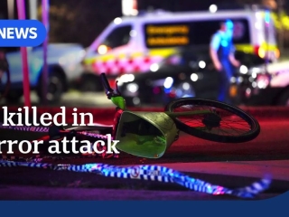 10-year-old girl among 15 killed