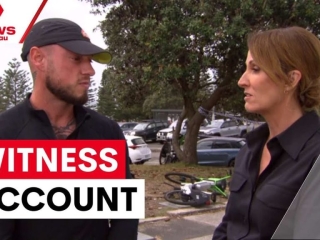 'I got a pretty good dog shot on his head'