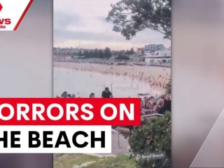 Former commando medic on the horrors of the Bondi massacre