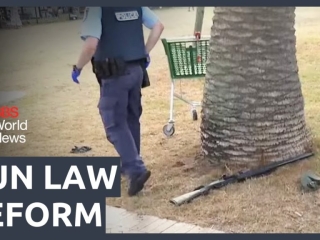 Gun law reform to be fast-tracked