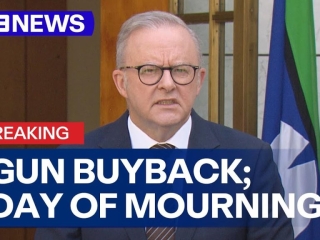 National gun buyback