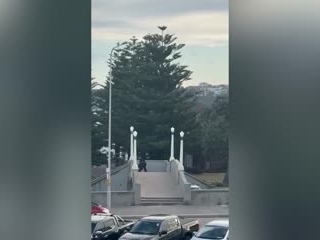 Full footage of shooting