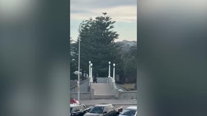 Full footage of shooting