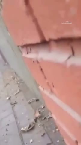 Iranian woman films her last moments on the movie set