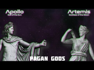 "You can't get more woke than that"