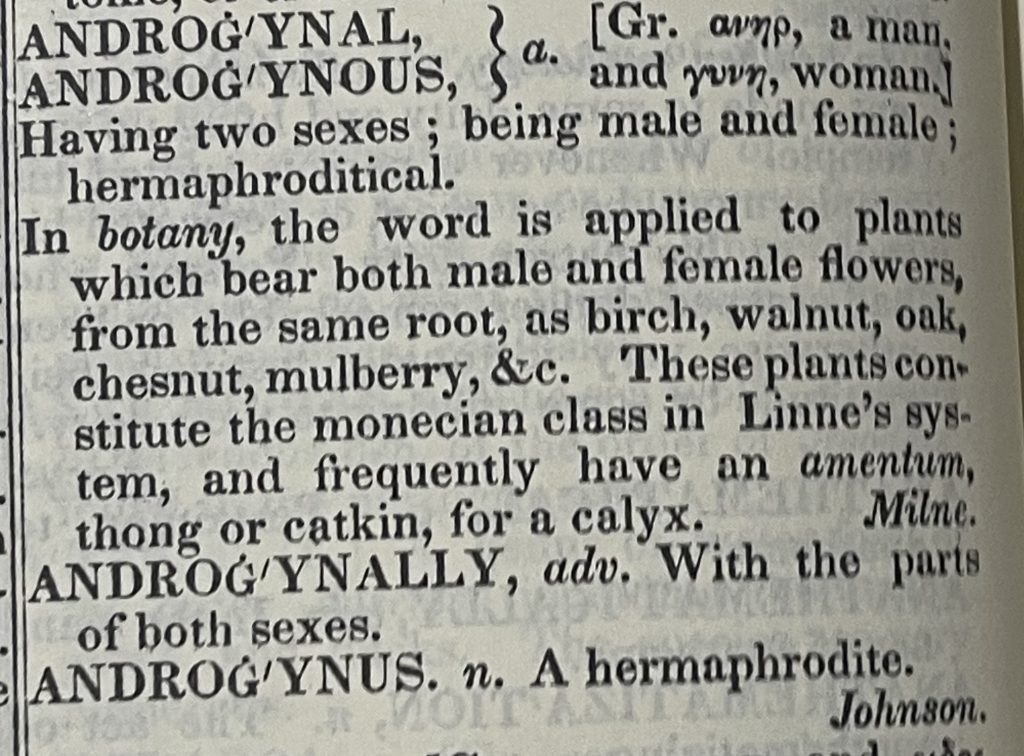 They are androgynes
