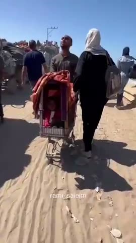 Palestinian family's epic journey to the north