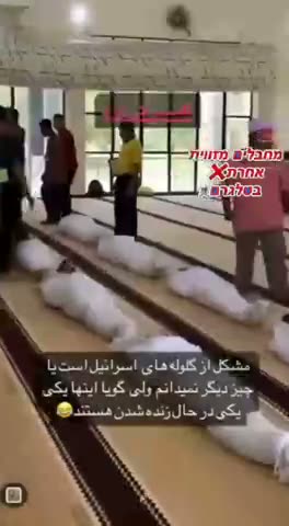 Another miracle in Gaza